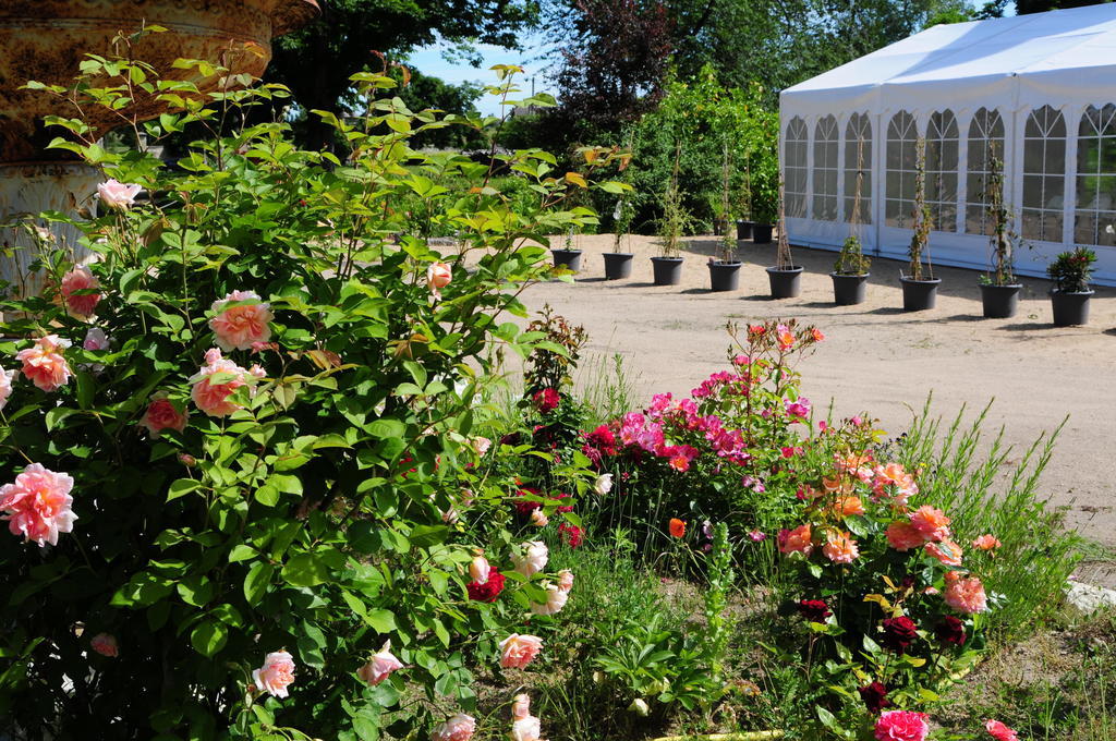 Chateau De La Chaussee Bed & Breakfast Brain-sur-Allonnes Eksteriør bilde
